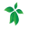 hydroetculture.com Icon