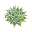 Diggardens.com Icon