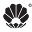 Lanuuk.com Icon