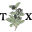 Teaxotics.com Icon