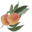 Eu.pockies.com Icon