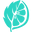 Mintlime.com Icon