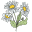 Honeybea.ca Icon