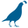 Bluequail.com Icon
