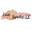 Keiwi Kosmetics Icon