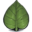 Ideas4Landscaping Icon