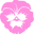 Poppy Angeloff Icon