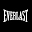 Everlast Icon