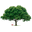 Woodtreeswing.com Icon