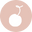 Whitecherryboutique.com Icon