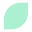 Wild Mint Cosmetics Icon