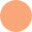 Fors Icon