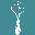 Freedivenomad.com Icon