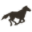 Western Express Icon