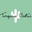 Turqcactus.com Icon