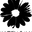Ecoimagine.com Icon