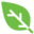 Purematcha.com.au Icon