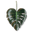 Goodsoulshop.com Icon