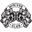 Darcsport.com Icon
