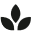 Ecoandbasics.com.au Icon