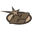 Effnclothing.com Icon