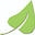 Thegoodstuffbotanicals.com Icon