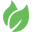 Wellvites.com Icon