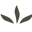 Prato Botanico Icon