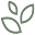 Biohackingbrittany.com Icon