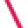 Raphanocturne Icon