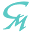 Chestnut Mountain Resort Icon