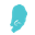 Camelliamorris.com Icon