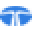 Tata Motors Icon