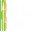Thecbdcompany.com Icon
