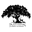 Plantationcandlecompany.com Icon