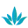 AgaveSky Icon