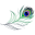Peacockboutique.ca Icon