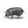 Pinestreetmarket.com Icon