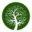 Life Miracle Icon