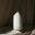 The Roosevelts Candle Co. Icon