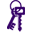 Finders Key Purse Icon