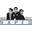 WiseGuysVapes Icon