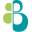 Bsensible Us Icon