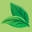 Salada Tea Icon