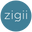 Zigii Icon