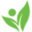Sproutright.com Icon