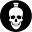 Crystal Head Vodka Icon