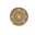 Leaves Of The world Icon