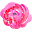 Worthy Written Words Icon
