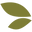 Wholefort Inc USA Icon